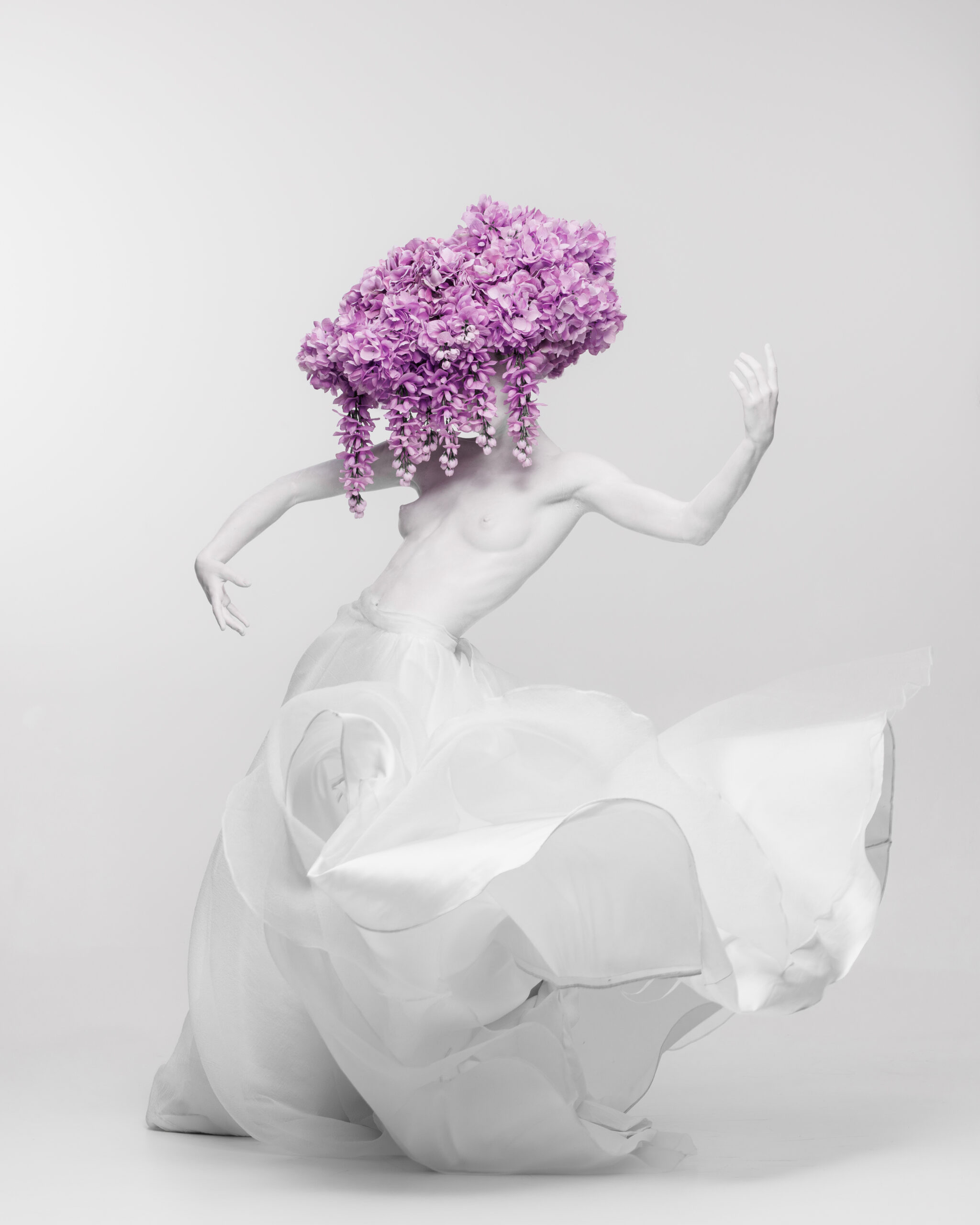 Reaching for Light Fine Art Print